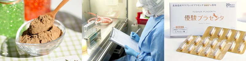 �D�x�v���Z���^���T�C�g